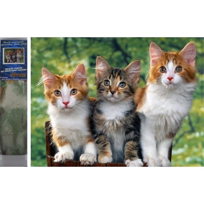 Norimpex - Puzzle Diamond Painting Cats 30x40cm - 1 - 39 piese