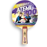 NTT Хилка Atemi 300