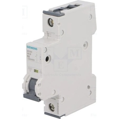 Siemens 5SY6106-6