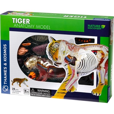 Thames & Kosmos Детски комплект Kosmos - Анатомия на тигър (261050)