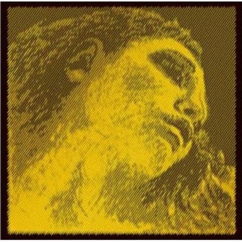 Image 1 of Pirastro Evah Pirazzi Gold Violin ( E ) Струни за цигулка (P315521)