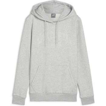 PUMA Суичър Puma Logo Lab Hoodie - Graph Reg