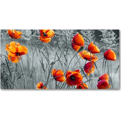 Fotoobraz na skle poľné mak 100x50 cm
