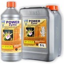 Hesi Powerzym 500 ml