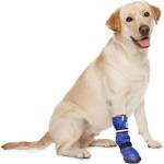 Medical pet shirts Mps Постоперативна обувка за куче l