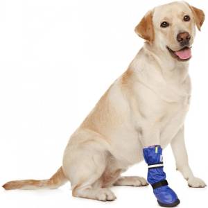 Medical pet shirts Mps Постоперативна обувка за куче l