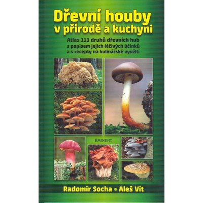 Dřevní houby v přírodě a kuchyni