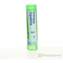 Echinacea Angustifolia gra.1 x 4 g 5CH
