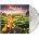 Matteo Mancuso - Journey (Reissue) (Clear Coloured) (LP) (8712725750345)