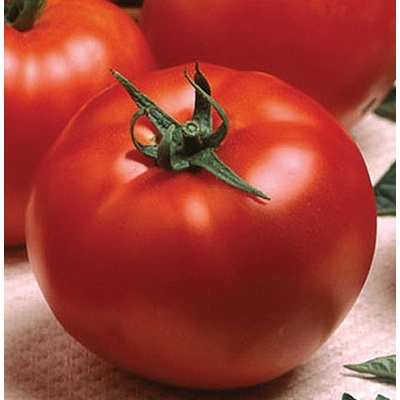 Флориан Домати Оптима f1