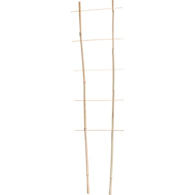 PLANTA Rebrík bambusový 120cm