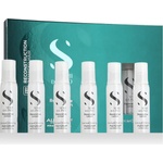 ALFAPARF Milano Alfaparf Semi Di Lino Reconstruction Reparative Lotion 6 x 13 ml
