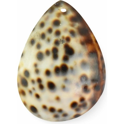 Komponent - opracovaná mušľa, homolica leopardia, kvapka
