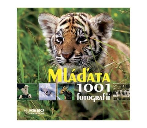 Mláďata