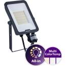 Philips BVP167
