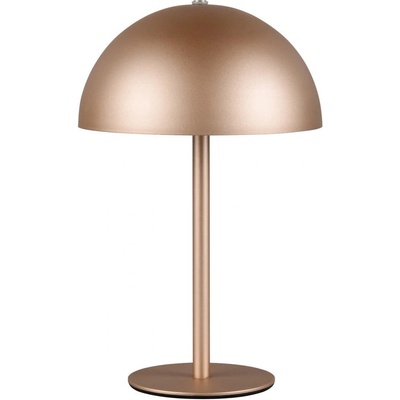 Reality LED настолна лампа в бронзов цвят с метален абажур (височина 21 cm) Munoz - Reality (R54891165)