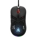 The G-Lab KULT-OXYGEN-B