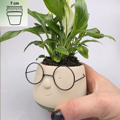Keramický obal pan brejloun na průměr 7 cm (Obal je vhodný na květinu o průměru 7 cm)