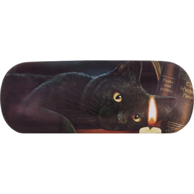 Pouzdro na brýle s kočkou a knihami - design Lisa Parker – Hledejceny.cz