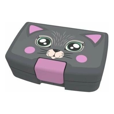 Kočka - Box na svačinu