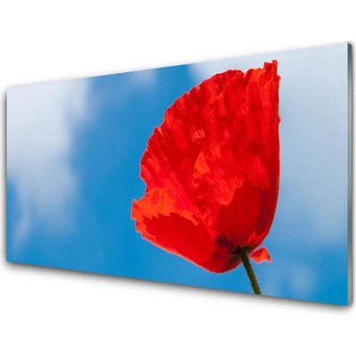 Obraz na skle Tulipán 100x50 cm