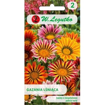 Gazania brilantná zmes drvené semená
