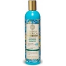 PRO Natura Siberica extra objem šampon 400 ml