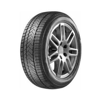 Aptany RW211 205/55 R16 91H