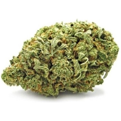 Zlaté CBD Odroda konope Jack Herer 25% CBD 0,2% THC 1 g