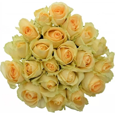 Kytice 21 meruňkových růží MAGIC AVALANCHE 60cm