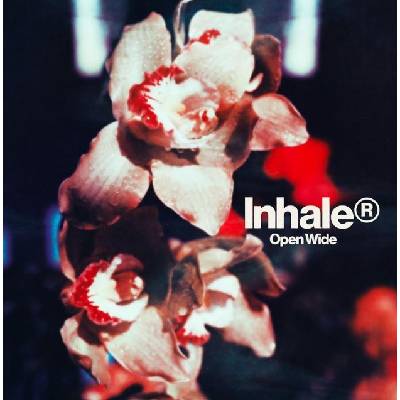 Inhaler Open Wide CD