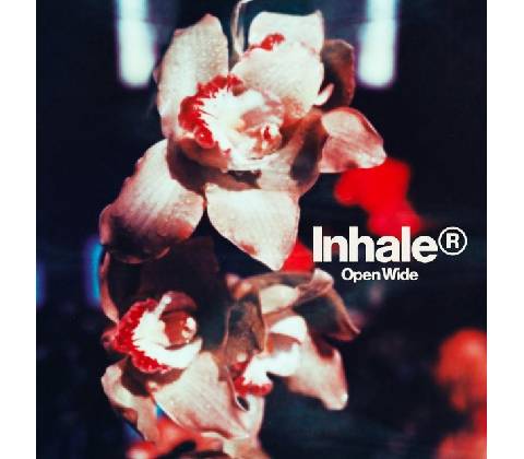 Inhaler Open Wide CD