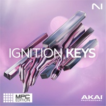 Native Instruments Ignition Keys MPC Edition (el. licence)