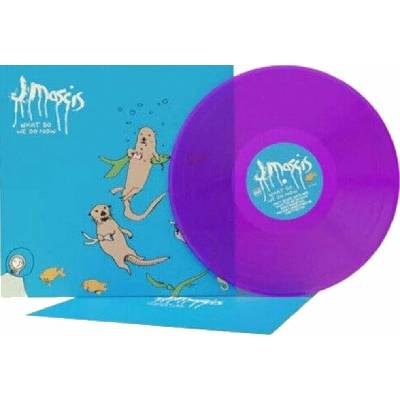 MASCIS, J - WHAT DO WE DO NOW LP