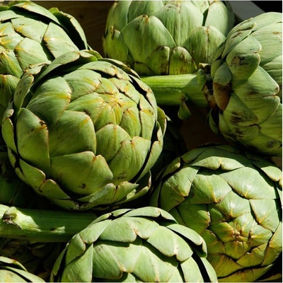 Artyčok Green Globe Cynara scolymus semena 20 ks