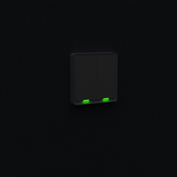 TESLA Smart Switch Dual TSL-SWI-WIFI2