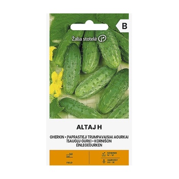 Seklos Корнишони Алтай F1 Altaj H