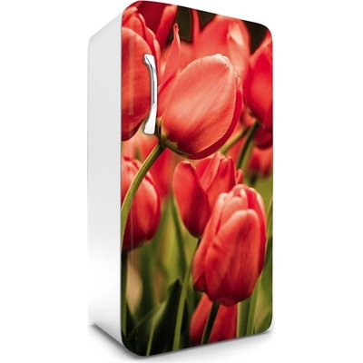 Dimex FR120-012 Samolepící fototapeta na lednice Red Tulips rozměry 65 x 120 cm
