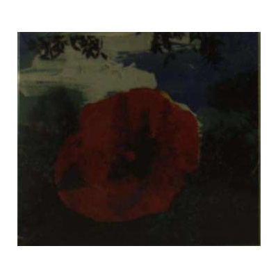 Mystic Braves - The Great Unknown CD