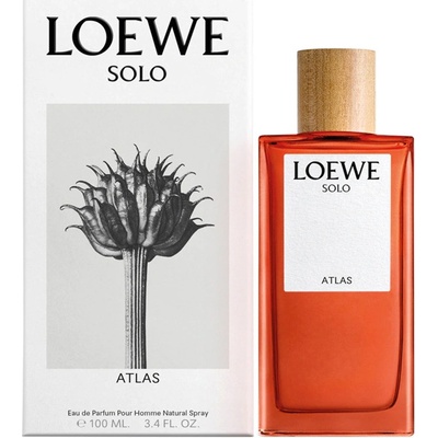 Loewe Solo Atlas parfémovaná voda pánská 100 ml