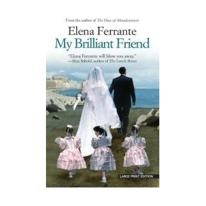 My Brilliant Friend (ISBN: 9781594139932)