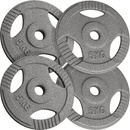PHYSIONICS sada činkových kotúčov 4 x 5 kg, liatina, 31 mm