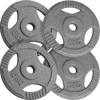 PHYSIONICS sada činkových kotúčov 4 x 5 kg, liatina, 31 mm