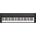 Casio CT-S1