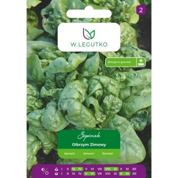 W. Legutko Зимен гигантски спанак