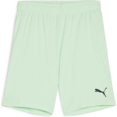 Puma teamGOAL Shorts Jr zelená