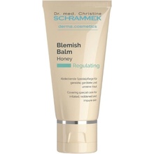 Dr. Schrammek Blemish Balm krycí péče Honey 40 ml