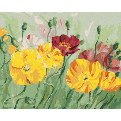 Zuty Malování Podle Čísel Barevný Vlčí Mák 80 x 100 cm Plátno Rám