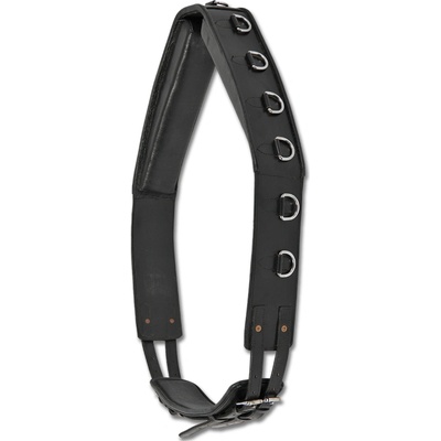 Waldhausen Kožený lonžovací obřišník černý černá