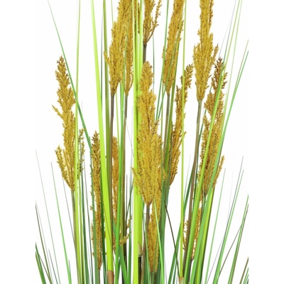 Polní tráva s klasy, 120 cm